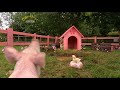 Big Barn Farm Babysitters 2010