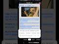 Wounded Poodle CLG Wiki