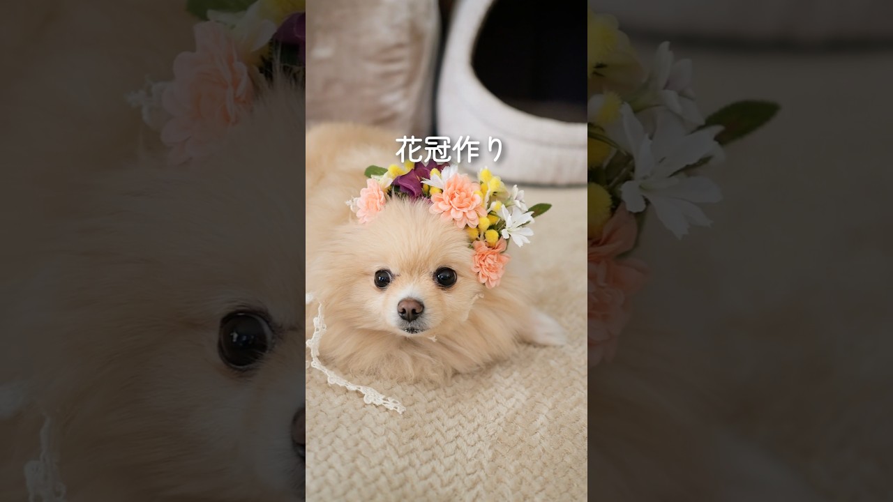 カンタン！花冠作り #アーティフィシャルフラワー #造花 #花冠