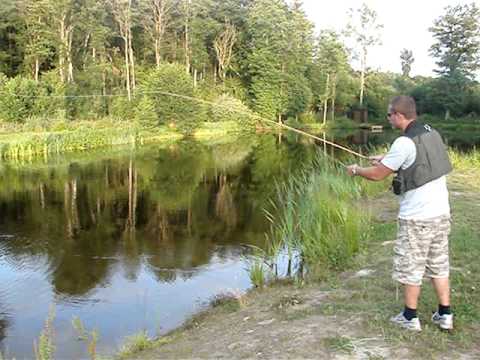 Regnbågs fiske i Arkelstorp (Sweden) Easy catch!