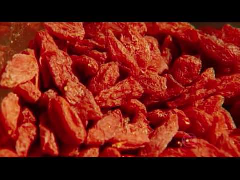 Goji Berry é Campeão Globo Reporter - Comece a consumir