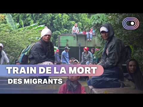 Mexique : ces migrants traversent l'enfer pour survivre