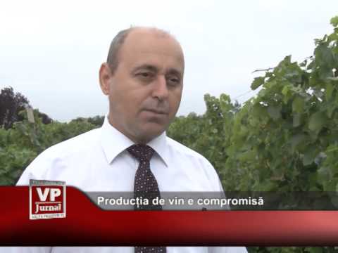 Producția de vin e compromisă