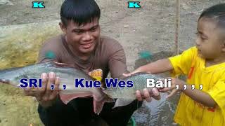 Download lagu Sri Wes Bali By Sony Zos | Versi Style || KARAOKE KN7000 FMC mp3