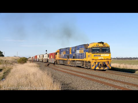 6MP4 Pacific National TOLL Container Train With Diesel Locomotives NR8  NR67 (13/6/2025) - PoathTV