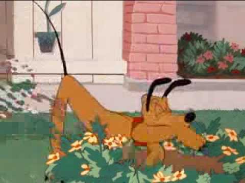 Teraz Miki! - Pluto i suseł