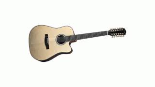 Video thumbnail for Fender CD-160SE 12-String Acoustic-Electric Guitar Natural by marolanca