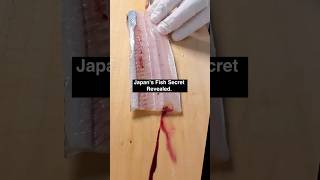 Japan’s fish cleaning secret revealed most chefs do for sushi and sashimi
