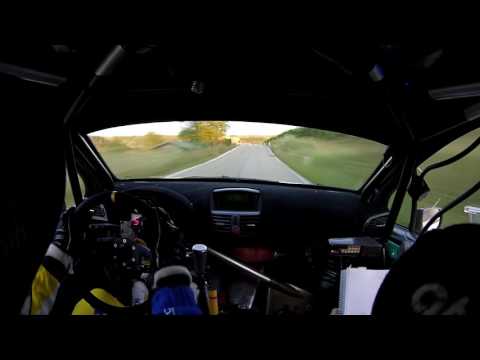 Paolo Diana -  Rally Rose'n Bowl 2016 - PS6 - Peugeot 207 S2000