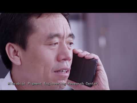 Shandong Zhonghui Biotechnology