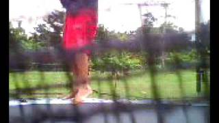 samal Blue Jazz Jumping