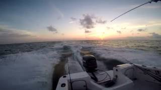 Richie, Ryan and Jed fish the pipeline 40 miles off St. Pete beach Florida