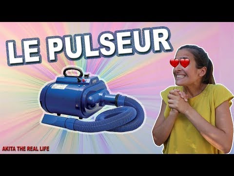 download lagu mp3 mp4 Pulseur, download lagu Pulseur gratis, unduh video klip Pulseur