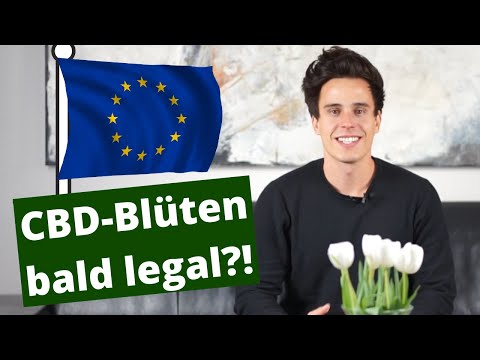 CBD-Blüten bald legal? - Alles zum Antrag beim BVL!