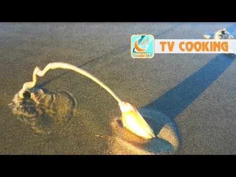 Amazing catching and cooking razor clam