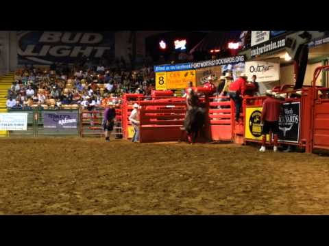 Wilfong Bucking Bulls BW 838 Howdy Doody ~ Son Of Doo Dad Out of Darkness Daughter