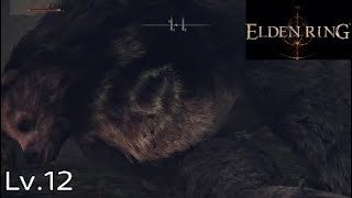 【エルデンリング】ウ●コすな【ネタバレ注意】