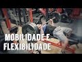 Vida de Bodybuilder - Diário #153 - Voltei a Treinar Supino + Rotina de Mobilidade