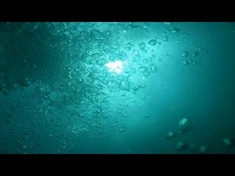 Jakub Żak - White Crocodile (Official Video)