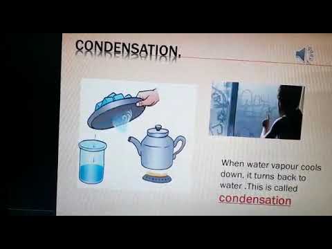 science level 4 Part 1