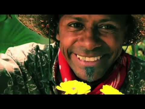 Latin Fresh - Voy A Toa (Video Oficial)