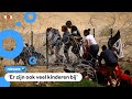 Recordaantal migranten steken grens van Verenigde Staten over