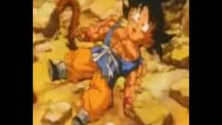 porta-hay un sentimiento muerto en este corazón roto