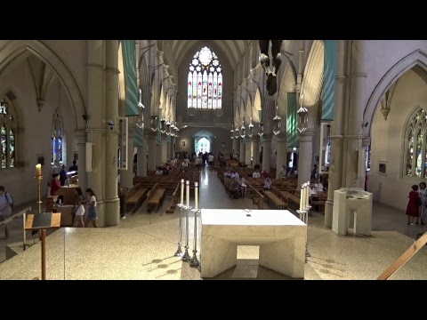 (2019-02-24) February 24, 2019 Mass for the 7th Sunday in Ordinary Time