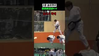 외국인들이 보고 잔뜩 쫄은 태권도ㄷㄷ