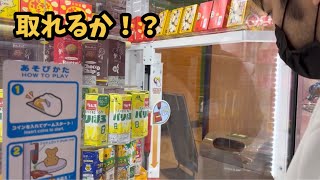 ゲームセンターで色々取る！