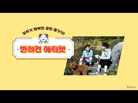 공원이용 캠페인 - 반려견 에티켓