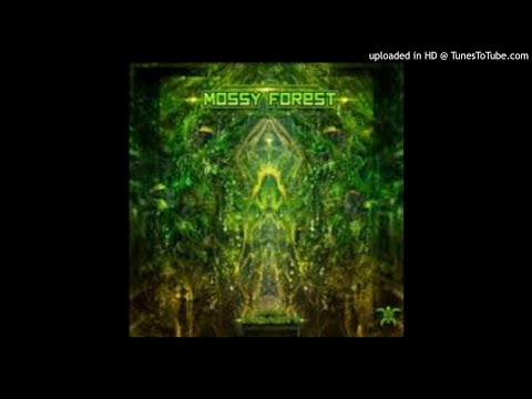 Sator Arepo - Quantum Process