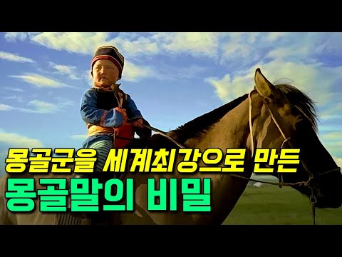 , title : '몽골군을 세계최강으로 만든 몽골말의 비밀'