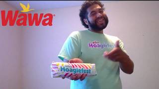 YaYa- ft. The Secret Menus 👉 2019 Hoagiefest Wawa Song Official Parody Music Video