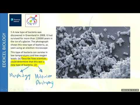 EDEXCEL BIOLOGY 2023 JAN UNIT 2 PAPER DISCUSSION AND REVISON 1