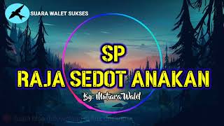 Download lagu 🔴SUARA PANGGIL WALET SP RAJA SEDOT ANAKAN ORIGINAL‼️ By: MUTIARA WALET Suara Panggil Walet Sukses..! mp3