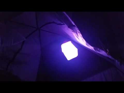 A video demonstrating the Packlight Spectra's color-changing mode. So fun!