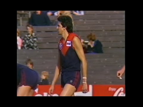 1987, Rd 16 - Geelong v Melbourne - All Melbourne Goals