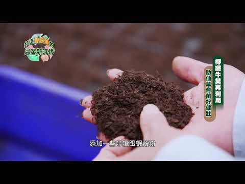 農業綠循環！椰纖牛糞再利用，助仙草育苗