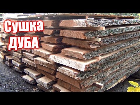 Сушка ДУБА, как дед учил