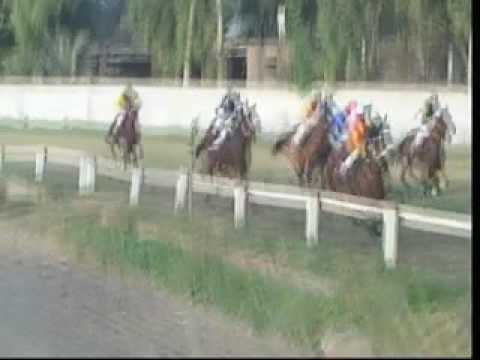 Lahore horse race club replay 7 race 18-12-2016