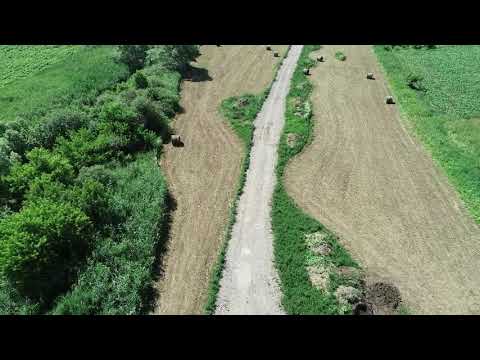 Cartier case Voiniceni sud