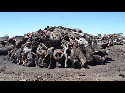 Retama. Visita Aldea del Obispo 07/05/2017