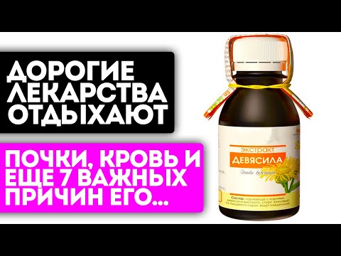 Пью девясил и оживаю! Суставы не болят, кровь стала жидкой, давление упало... Девясил