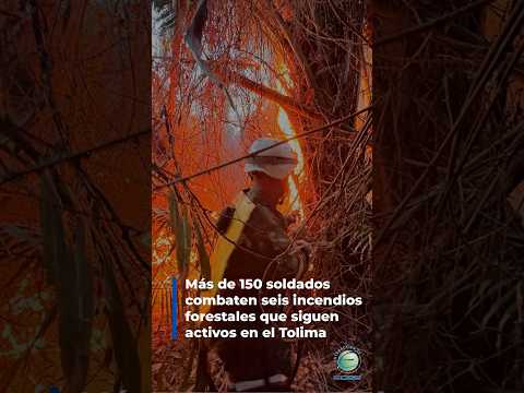 #Atención | 🔥Más de 150 soldados combaten seis incendios forestales que siguen activos en el #Tolima