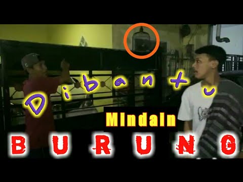 komedi-burung-news-komediagroupsuebriki-channel