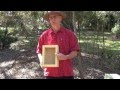 Part 1: Design of an Australian Native Beehive
