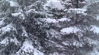 Snow video with song TRADITIONS OF CHRISTMAS - Chip Davis