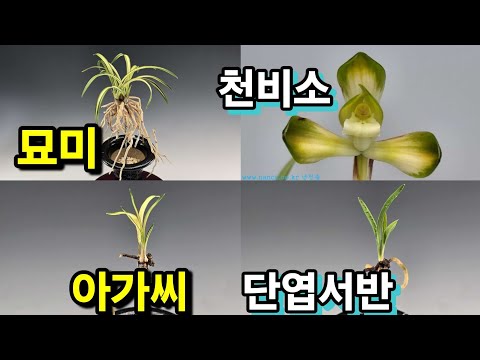 유튜브 썸네일