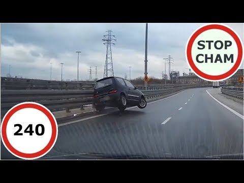 Stop Cham Ku przestrodze #240